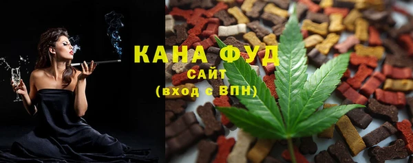 Альфа ПВП Лагань