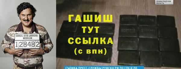 Альфа ПВП Лагань