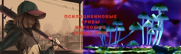 Альфа ПВП Лагань