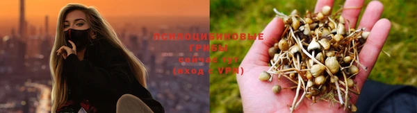 Альфа ПВП Лагань
