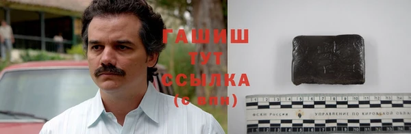 Альфа ПВП Лагань