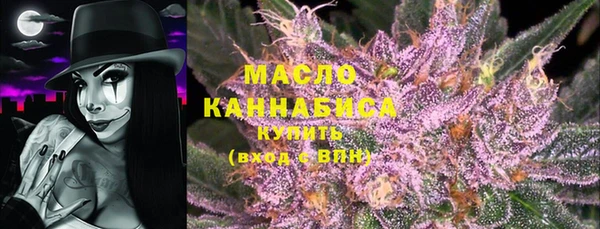 дмт Лабытнанги