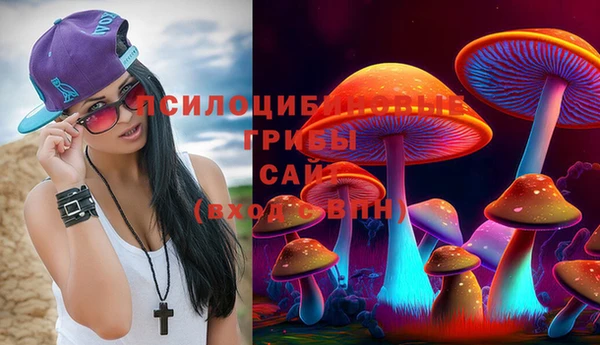 дмт Лабытнанги