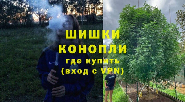 Альфа ПВП Лагань