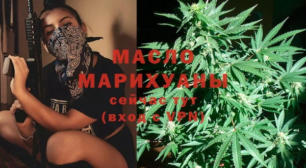 дмт Лабытнанги
