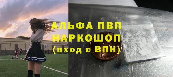 Альфа ПВП Лагань