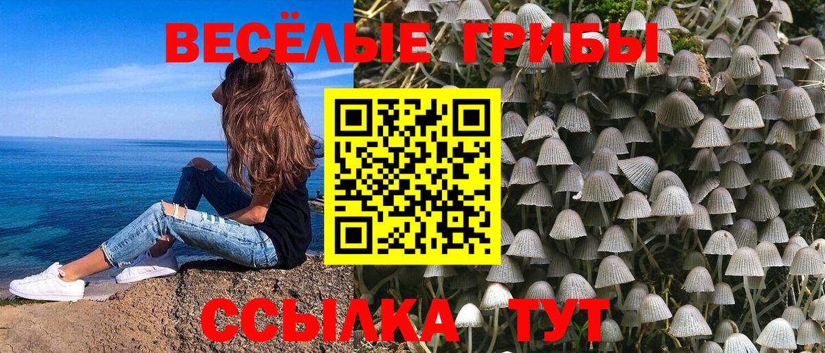 Псилоцибиновые грибы MAGIC MUSHROOMS  Вход с VPN  Тейково 
